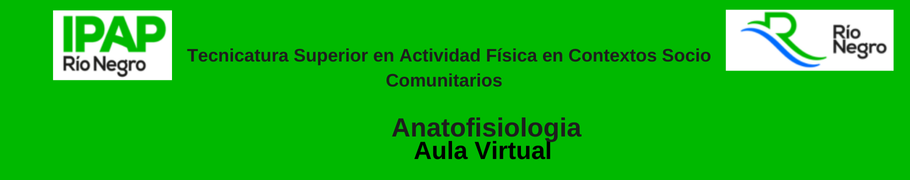 Bienvenidos!